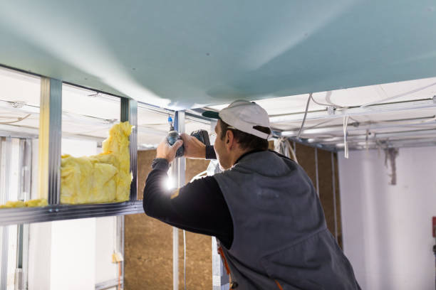 Best Residential Insulation in Mooreville, MS