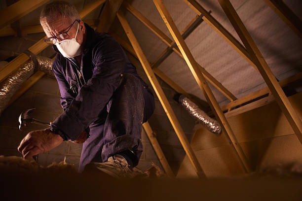 Best Geographic-Specific Insulation Services in Mooreville, MS